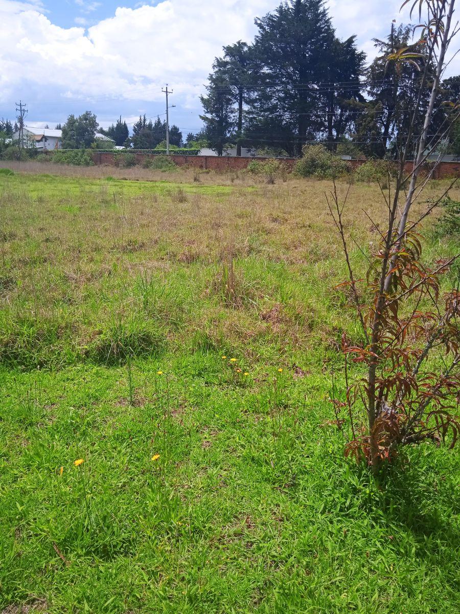 Terrenos Planos Ideal Para Inversionistas. Provincia de Pichincha — imagen 6