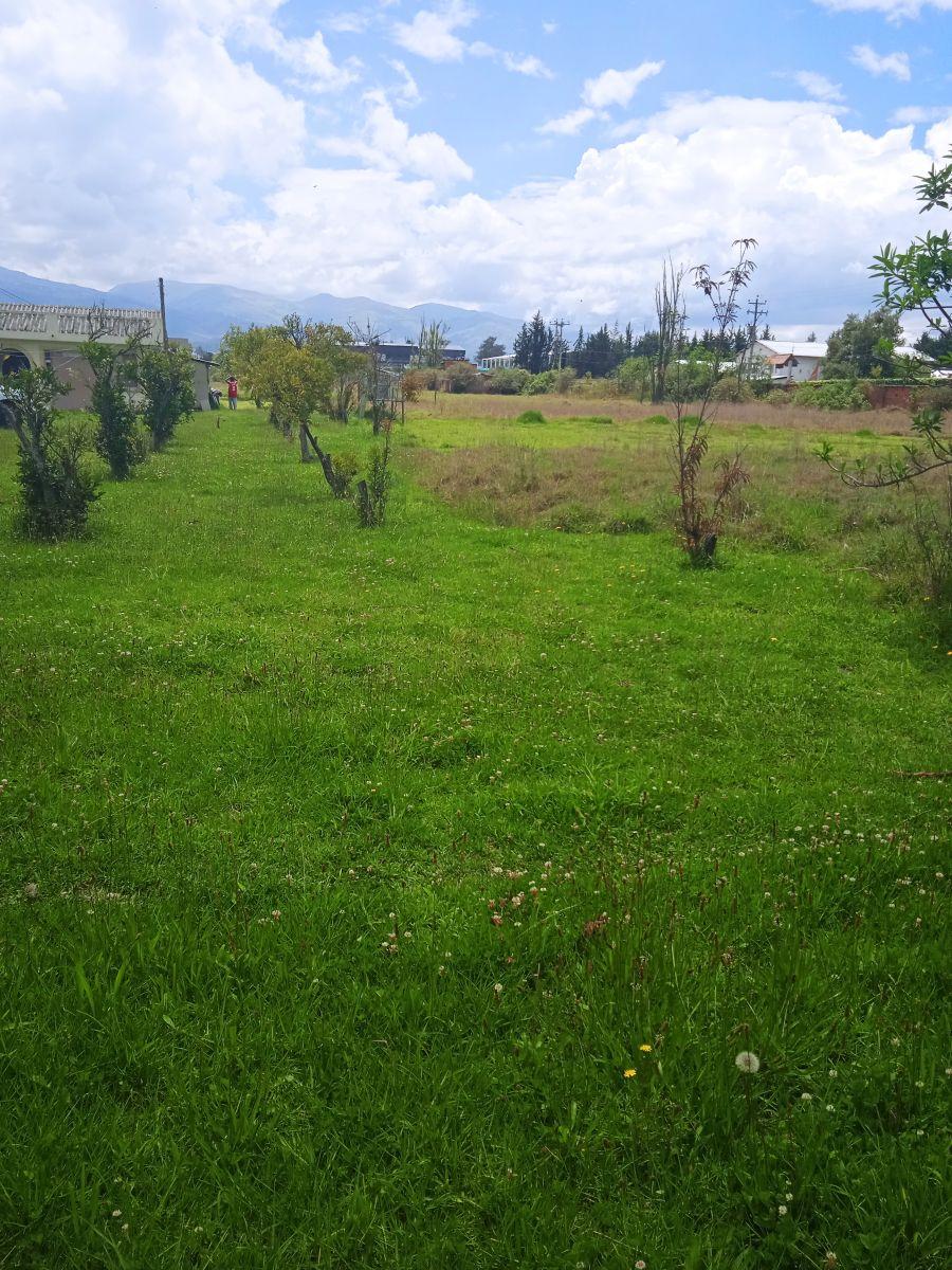 Terrenos Planos Ideal Para Inversionistas. Provincia de Pichincha — imagen 5
