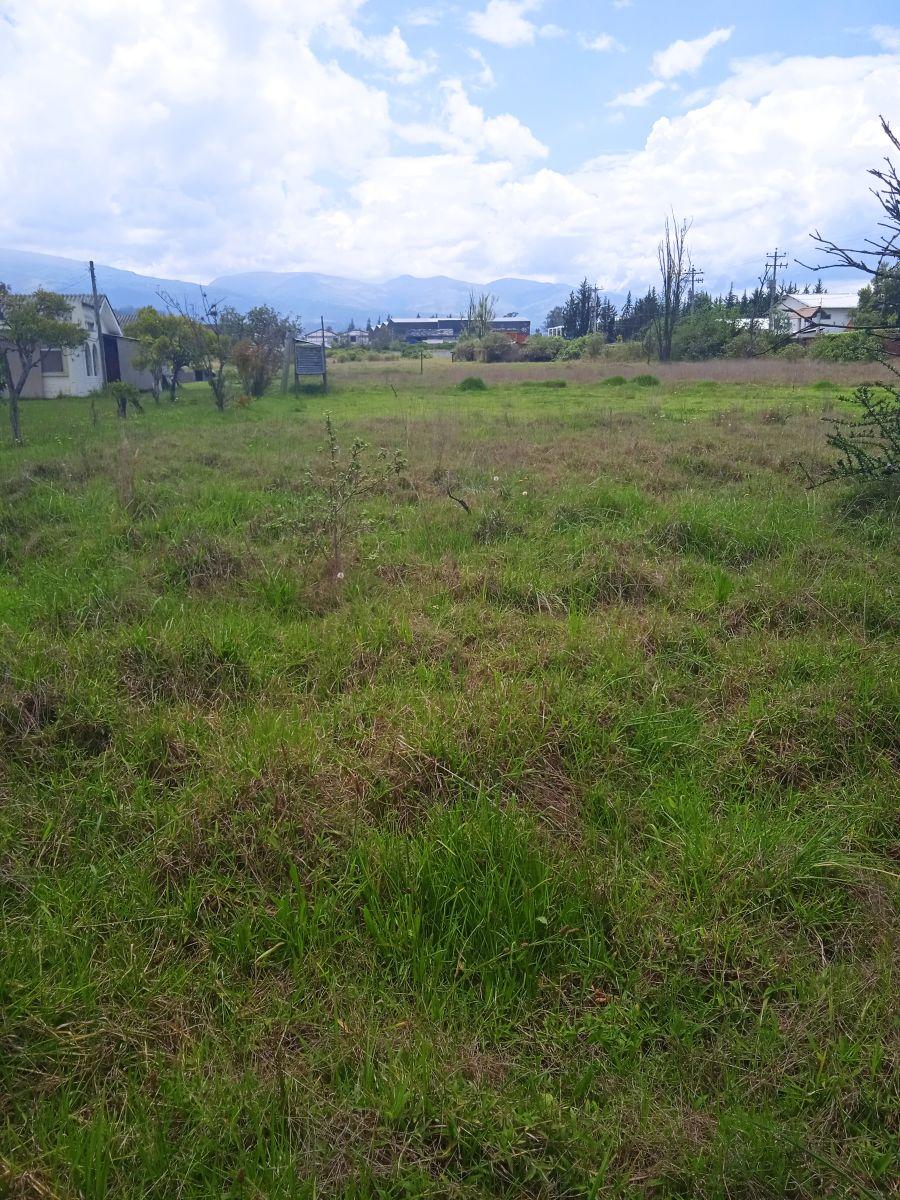 Terrenos Planos Ideal Para Inversionistas. Provincia de Pichincha — imagen 4