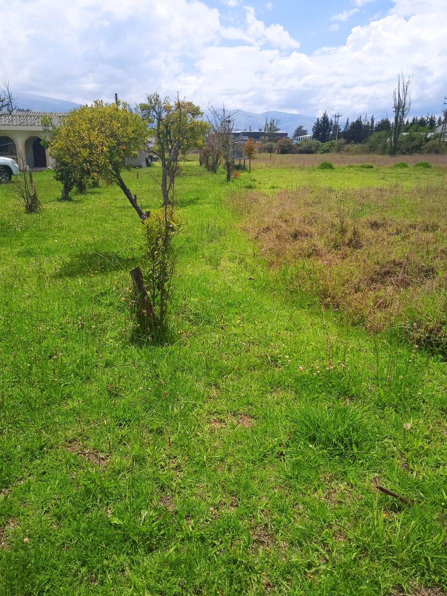 Terrenos Planos Ideal Para Inversionistas. Provincia de Pichincha — imagen 3