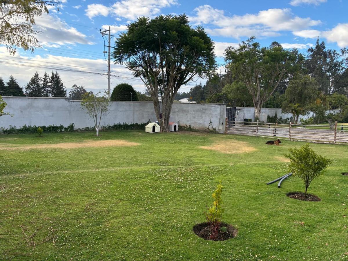 Vendo Terreno Puembo — imagen 7