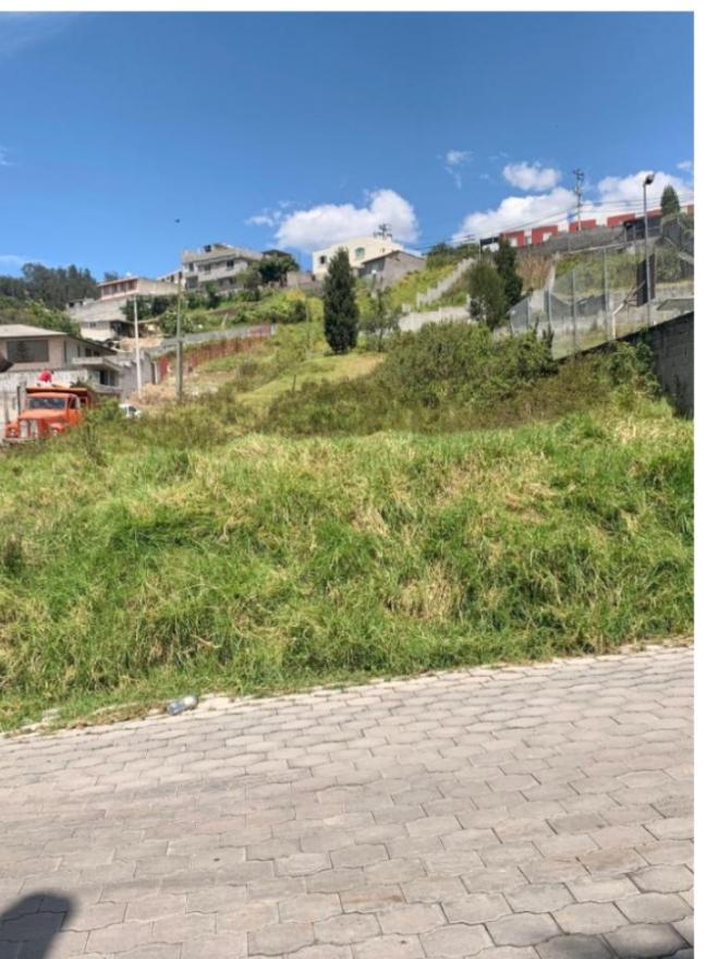 Vendo Terreno 600 m en La Armenia — imagen 3
