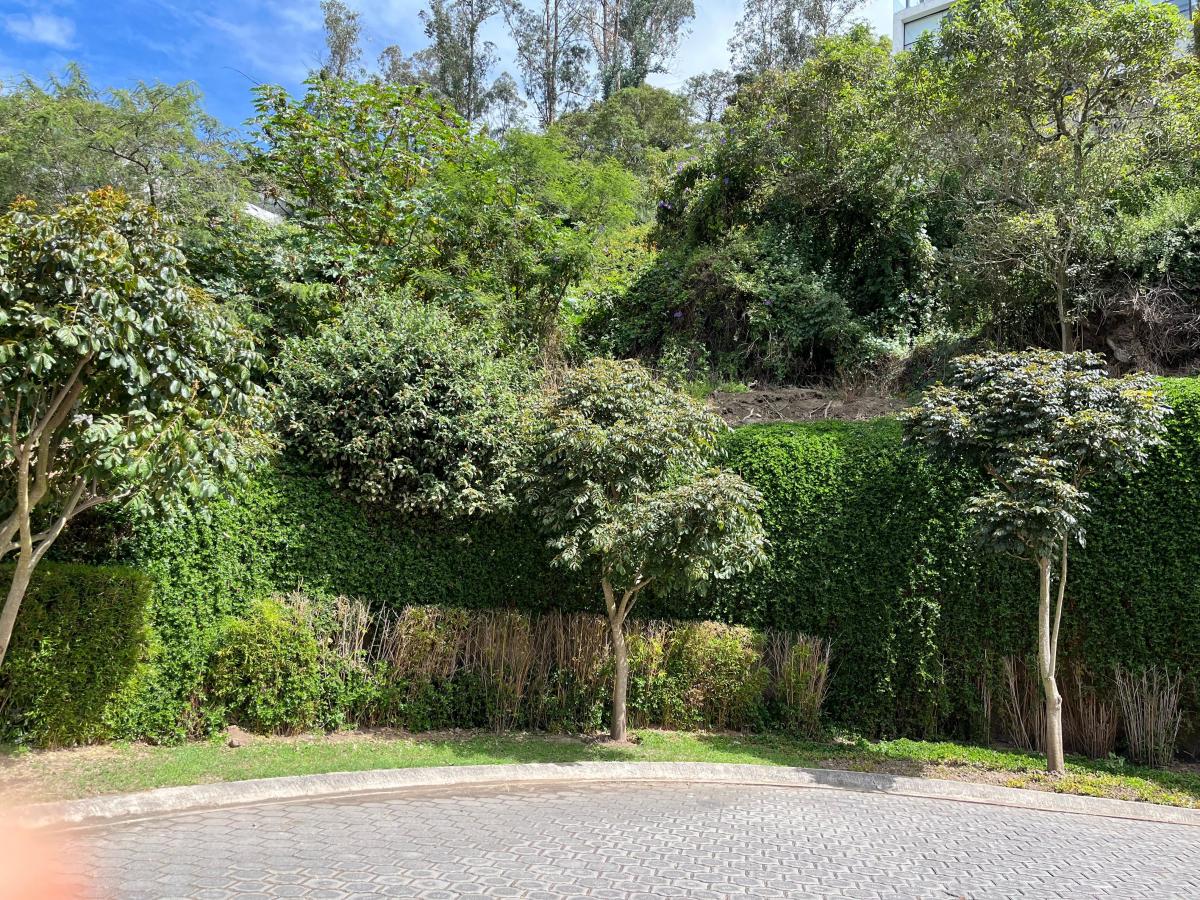 Cumbaya Terreno de Venta en Pillagua 3.500 m² — imagen 10