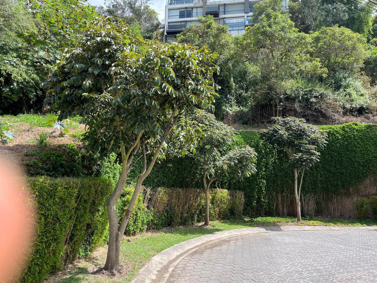 Cumbaya Terreno de Venta en Pillagua 3.500 m² — imagen 9