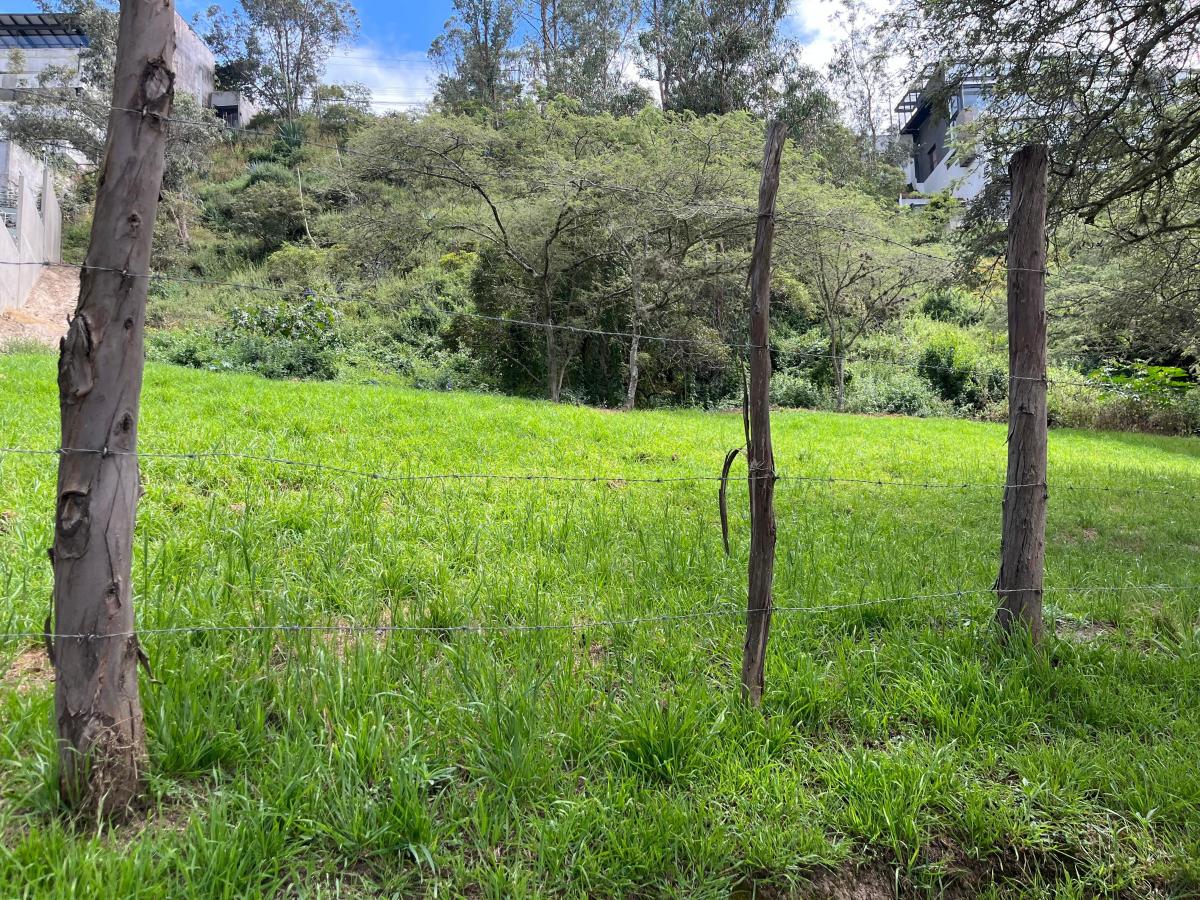 Cumbaya Terreno de Venta en Pillagua 3.500 m² — imagen 8