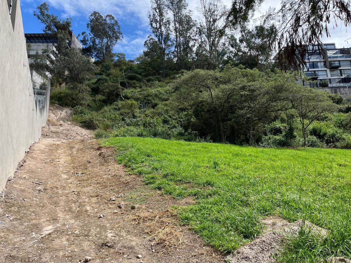 Cumbaya Terreno de Venta en Pillagua 3.500 m² — imagen 7