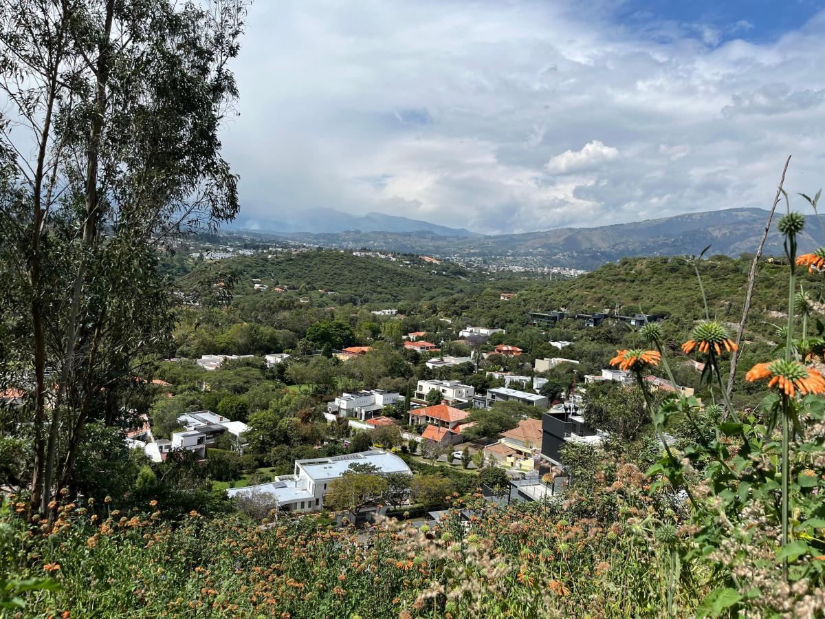 Cumbaya Terreno de Venta en Pillagua 3.500 m² — imagen 5