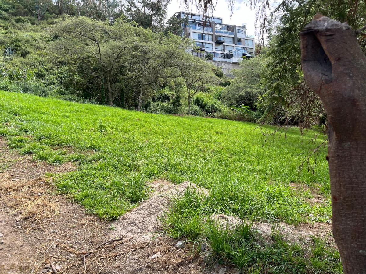 Cumbaya Terreno de Venta en Pillagua 3.500 m² — imagen 4