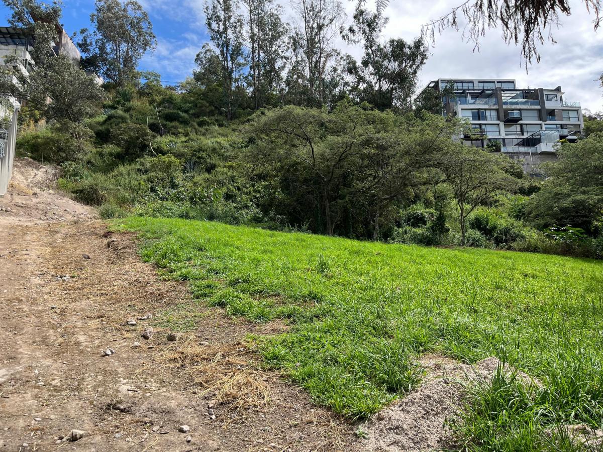 Cumbaya Terreno de Venta en Pillagua 3.500 m² — imagen 3