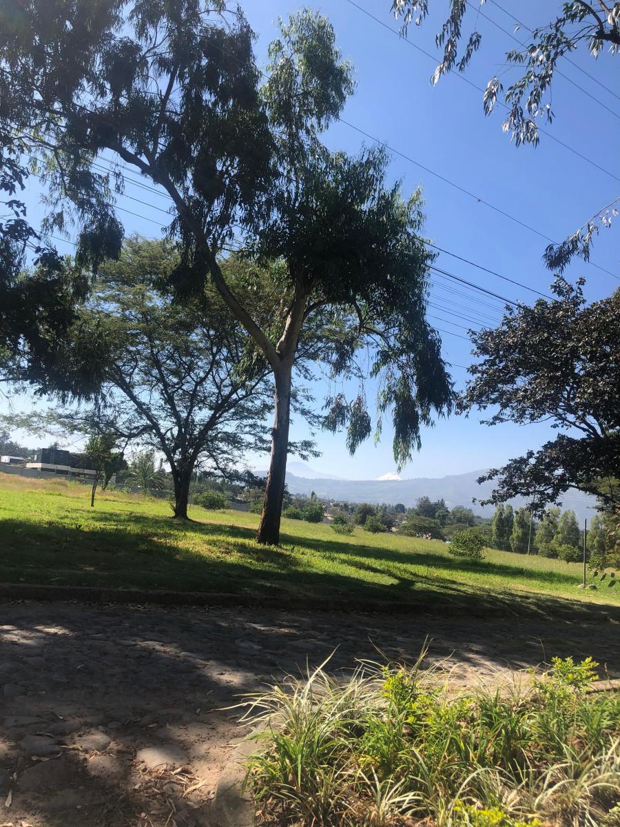 Terreno en Venta de 2525 m² en Hilacril con Guardianía — imagen 9