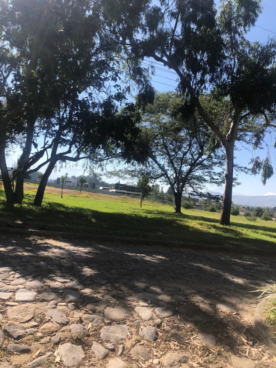 Terreno en Venta de 2525 m² en Hilacril con Guardianía — imagen 8