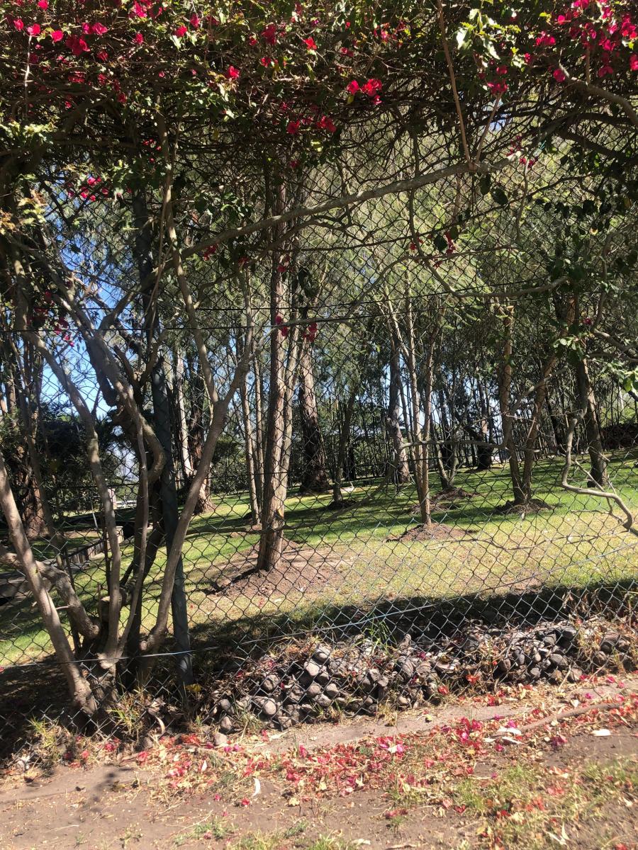 Terreno en Venta de 2525 m² en Hilacril con Guardianía — imagen 7