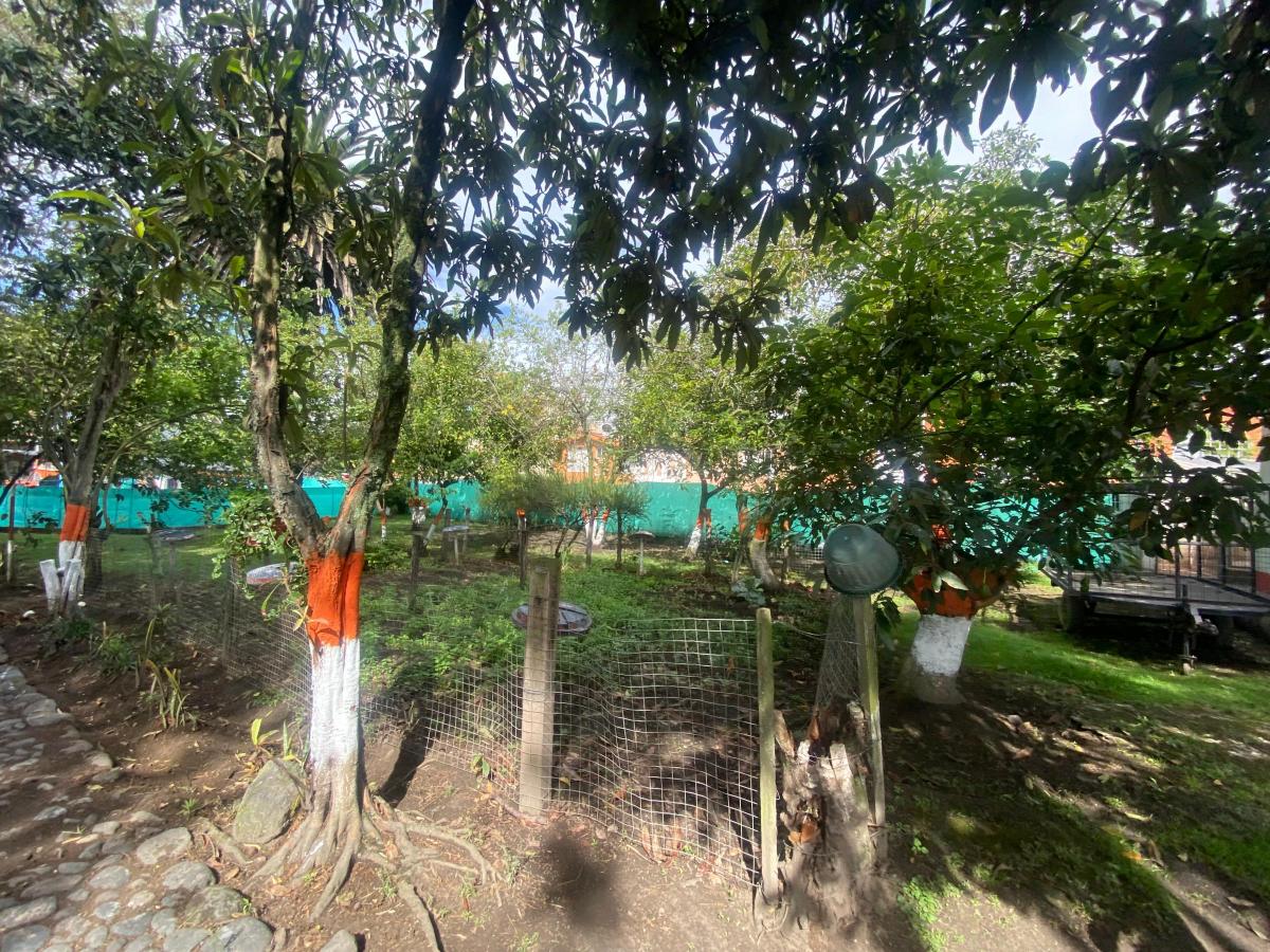 Vendo Propiedad Institución Educativa o Conjunto Residencial de 6200 m² Tumbaco — imagen 10