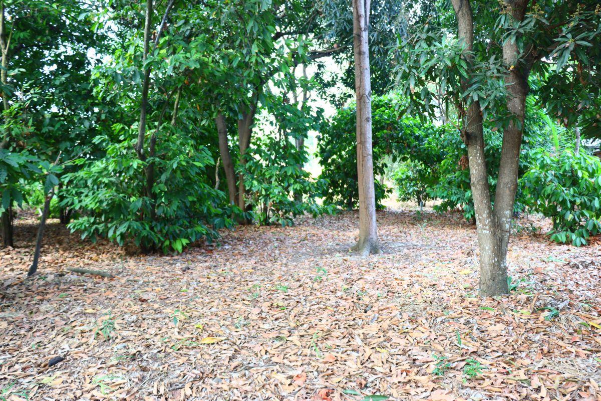 Lote en Venta 2.050 m² Portoviejo, Manabí — imagen 7