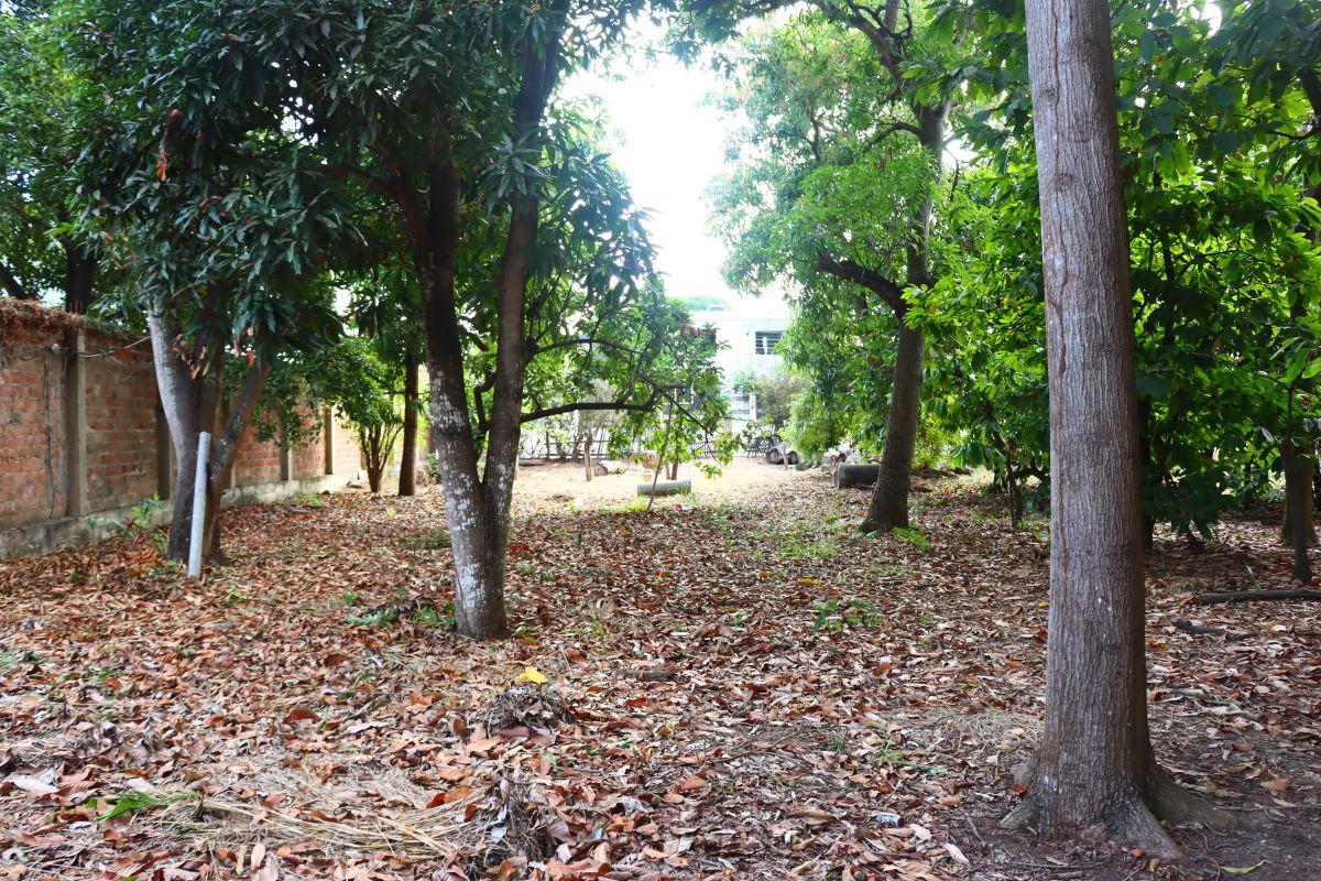 Lote en Venta 2.050 m² Portoviejo, Manabí — imagen 6