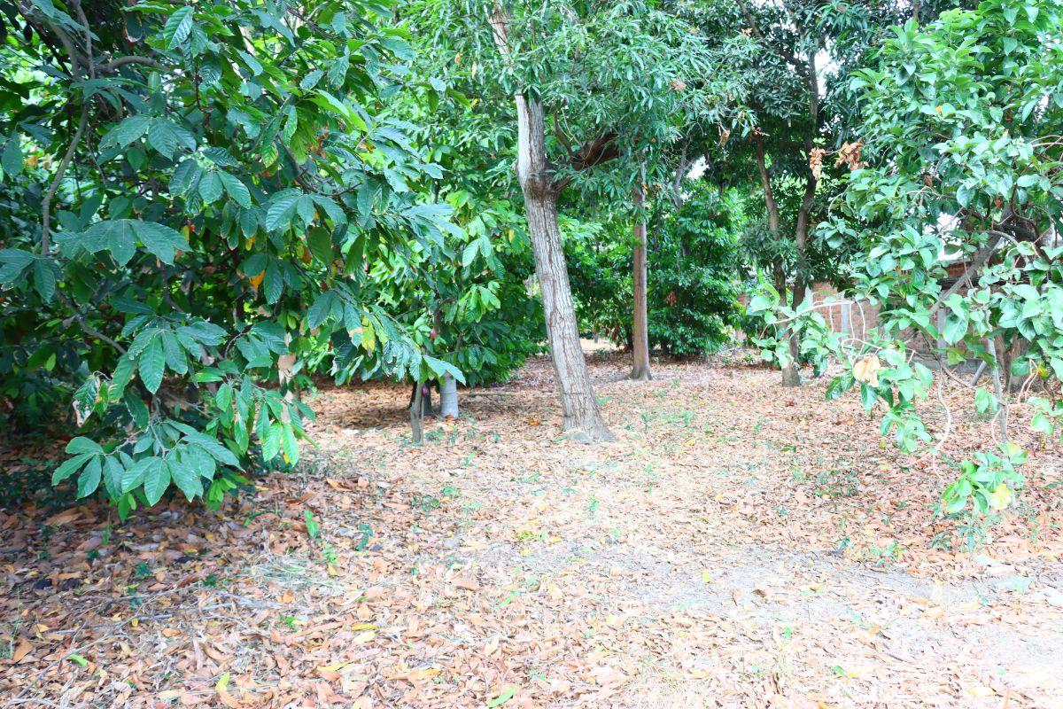 Lote en Venta 2.050 m² Portoviejo, Manabí — imagen 3