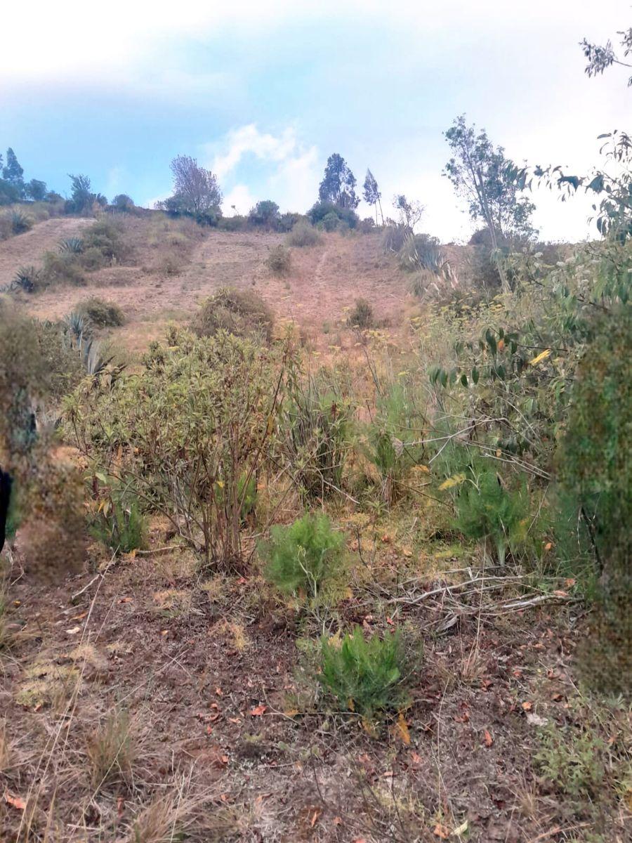 Se Vende Terreno con Servicios Básicos, Latacunga, Cotopaxi — imagen 3