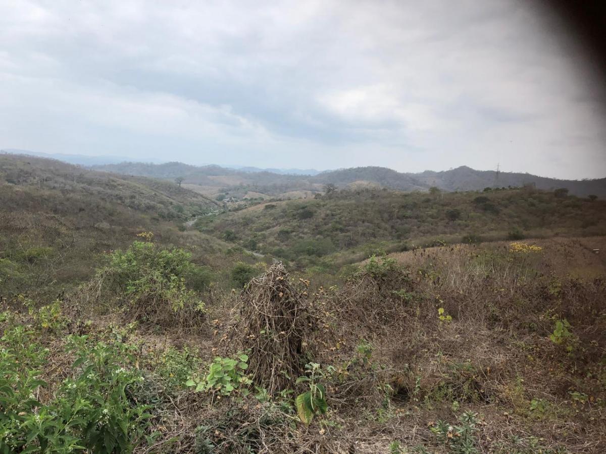 Terreno en Venta – Sector El Zapallo, Portoviejo, Manabí — imagen 5