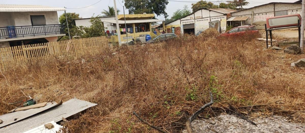 Venta Terreno en Las Lojas Av Salitre Daule X. Arcentales. Guayas — imagen 9