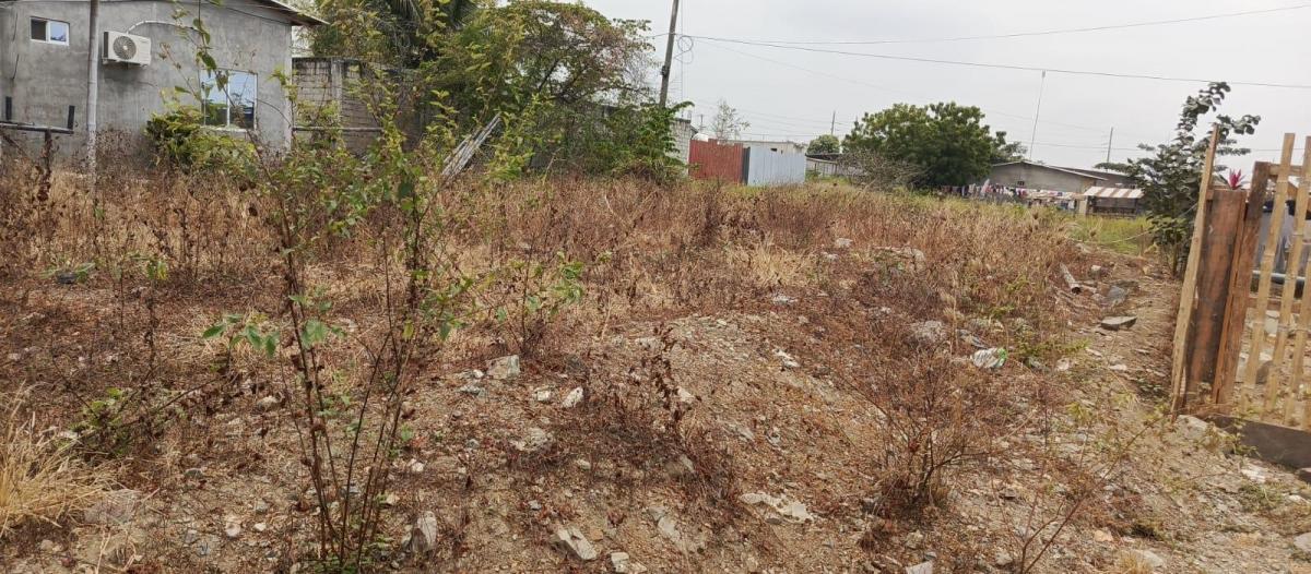 Venta Terreno en Las Lojas Av Salitre Daule X. Arcentales. Guayas — imagen 8