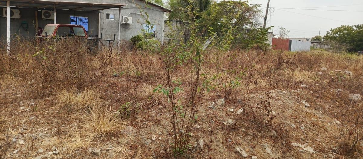 Venta Terreno en Las Lojas Av Salitre Daule X. Arcentales. Guayas — imagen 6