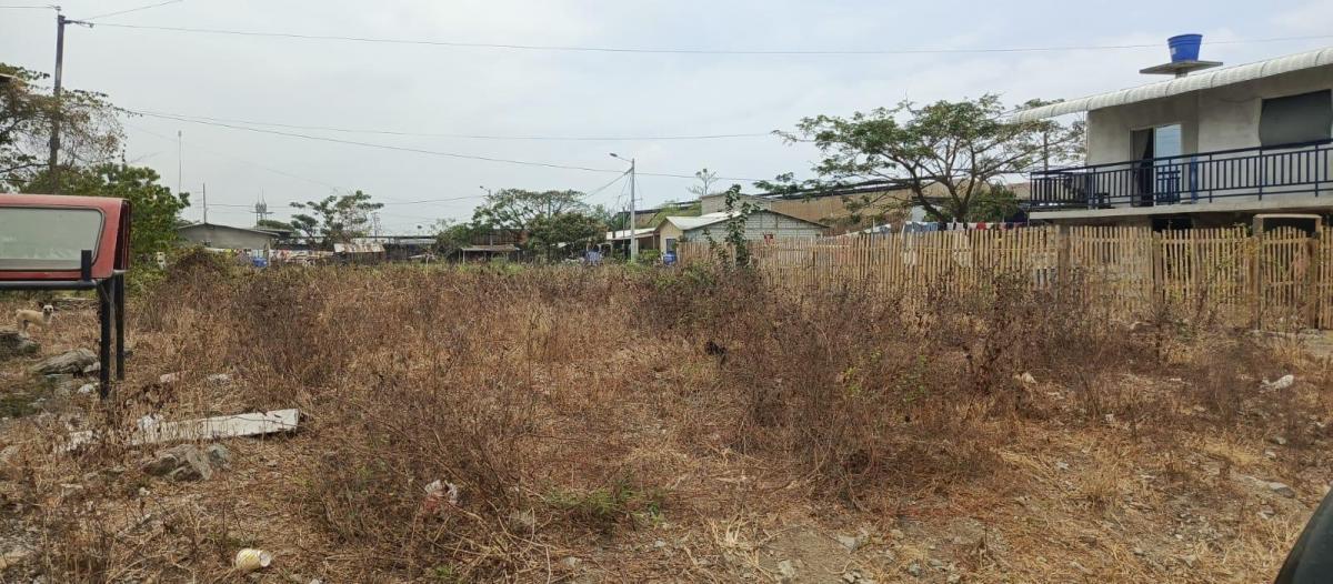 Venta Terreno en Las Lojas Av Salitre Daule X. Arcentales. Guayas — imagen 5