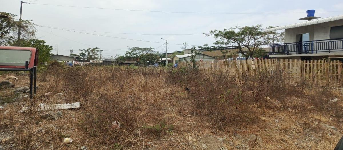 Venta Terreno en Las Lojas Av Salitre Daule X. Arcentales. Guayas — imagen 4
