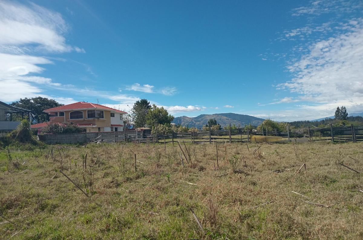 Terreno de 5300 m² Sector Jatumpungo - Sangolquí ¡Oportunidad de Inversión! — imagen 8