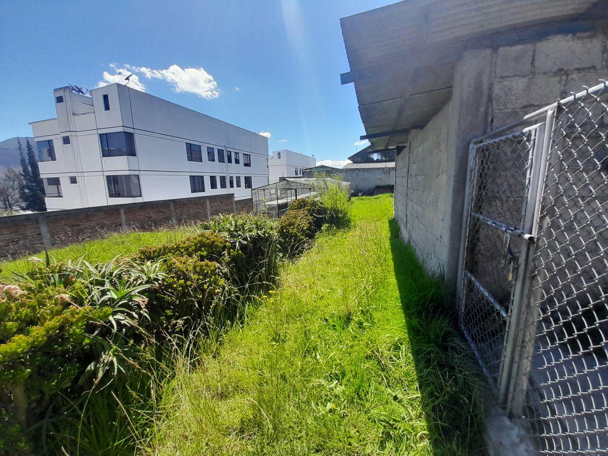 Carcelen, Terreno Apto Para Proyecto Inmobiliario — imagen 7