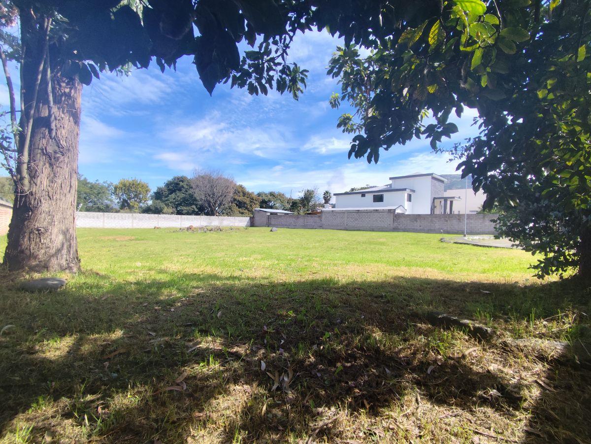 Terreno en Venta en Los Chillos de 1663 m² — imagen 5