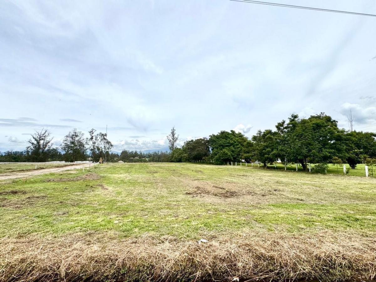 Se Venden Terrenos en Puembo Dentro de Urbanización Privada — imagen 10