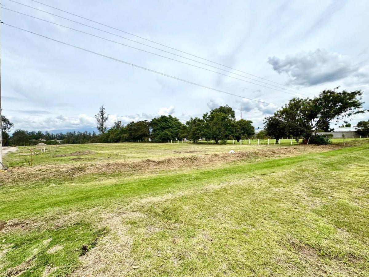 Se Venden Terrenos en Puembo Dentro de Urbanización Privada — imagen 8