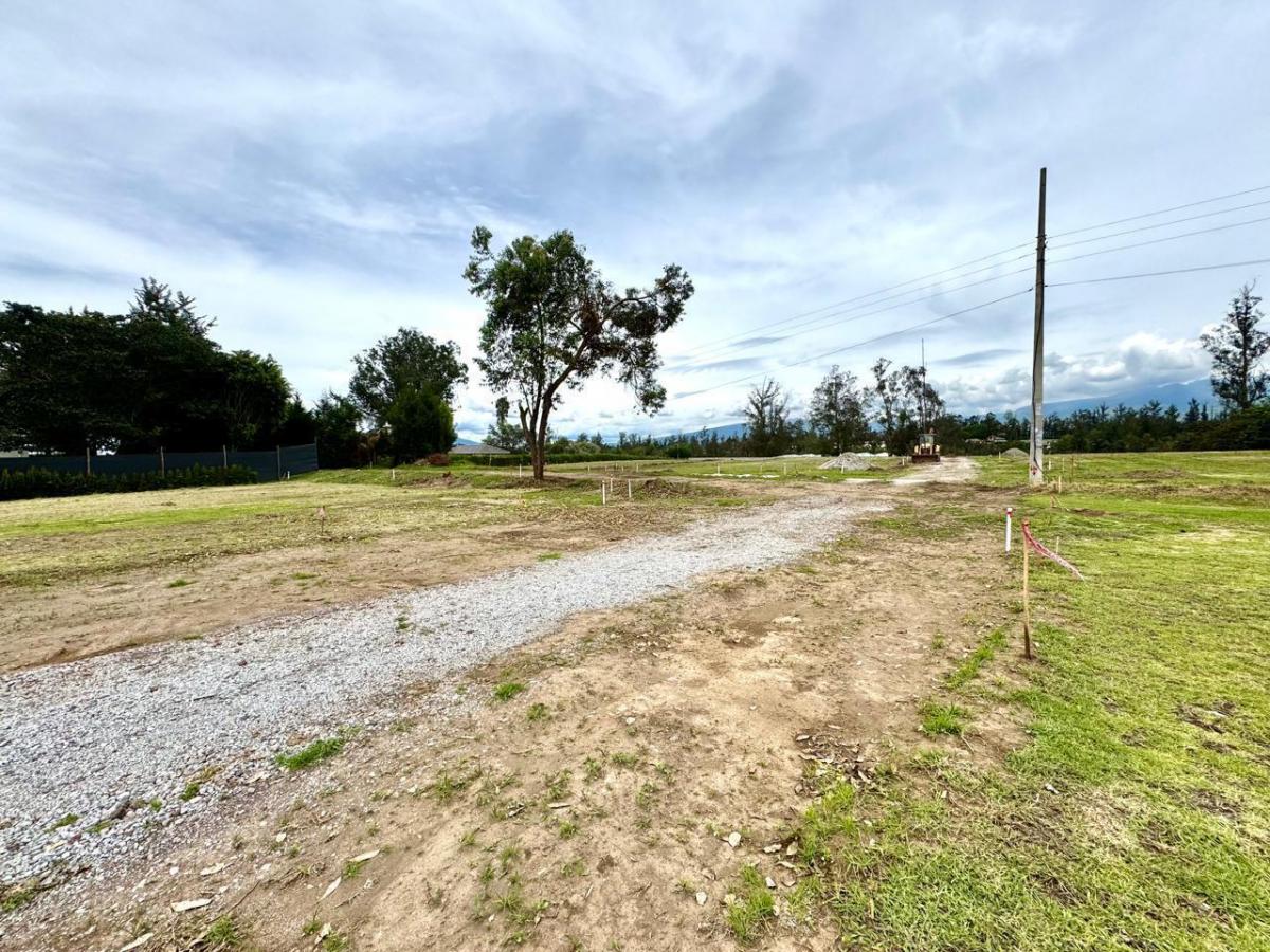 Se Venden Terrenos en Puembo Dentro de Urbanización Privada — imagen 6