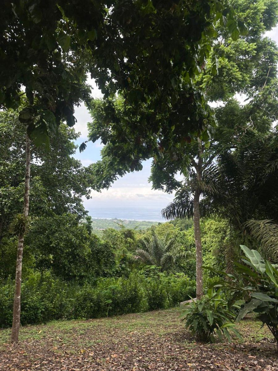 Se Vende Terreno en Ayampe, Sector La Reserva, Manabi, Ecuador, Manabí — imagen 9