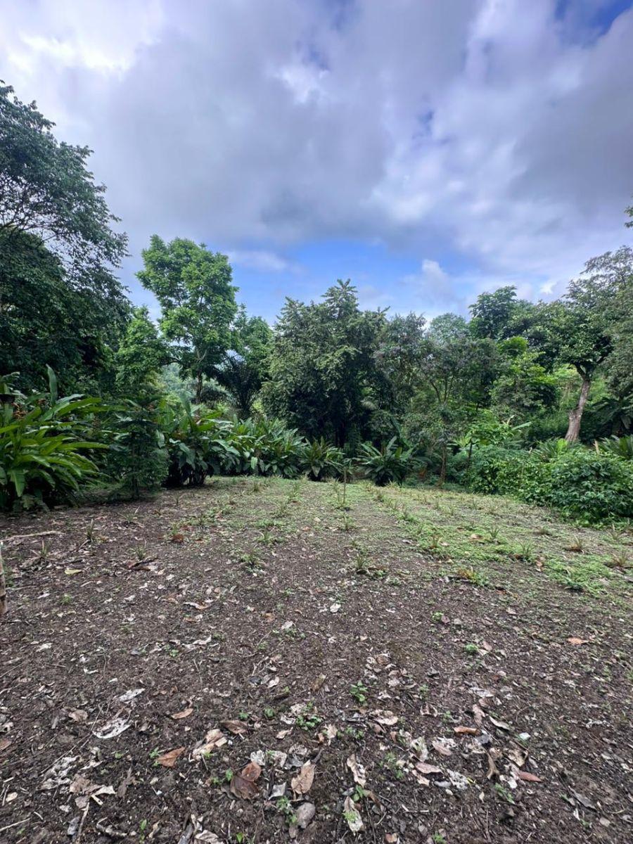 Se Vende Terreno en Ayampe, Sector La Reserva, Manabi, Ecuador, Manabí — imagen 8