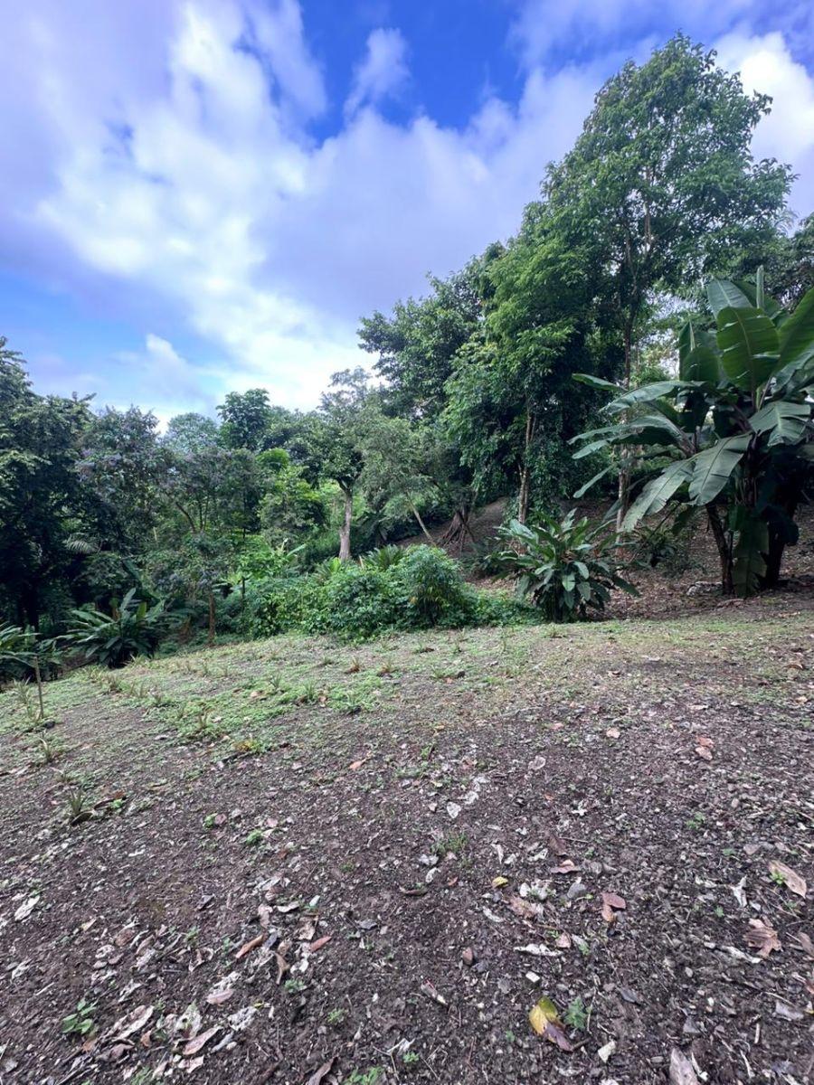 Se Vende Terreno en Ayampe, Sector La Reserva, Manabi, Ecuador, Manabí — imagen 7
