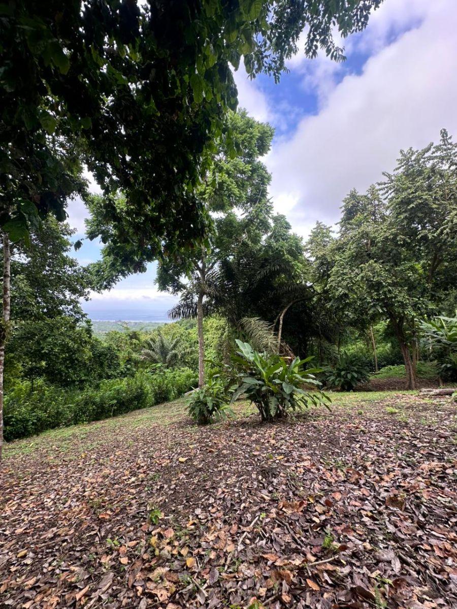 Se Vende Terreno en Ayampe, Sector La Reserva, Manabi, Ecuador, Manabí — imagen 6