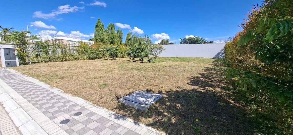 Terreno - Puembo — imagen 9