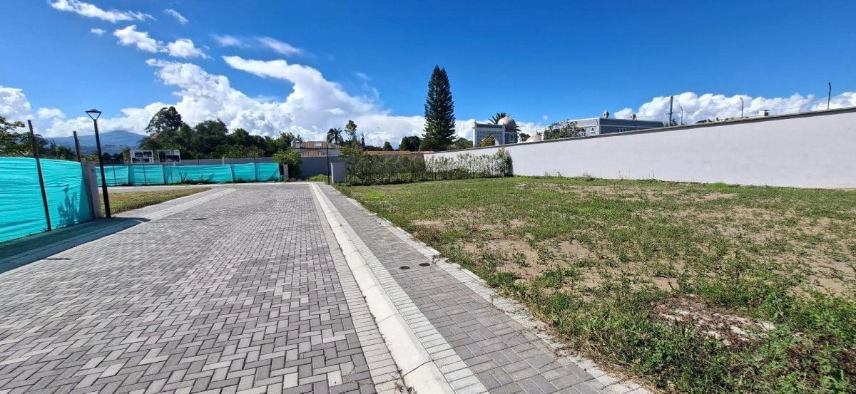 Terreno - Puembo — imagen 6