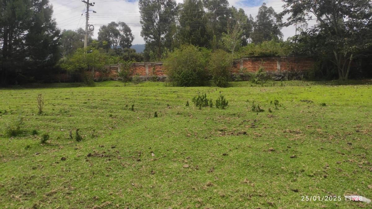 Terreno en Venta Ubicado en Conocoto - Sector La Salle II — imagen 5