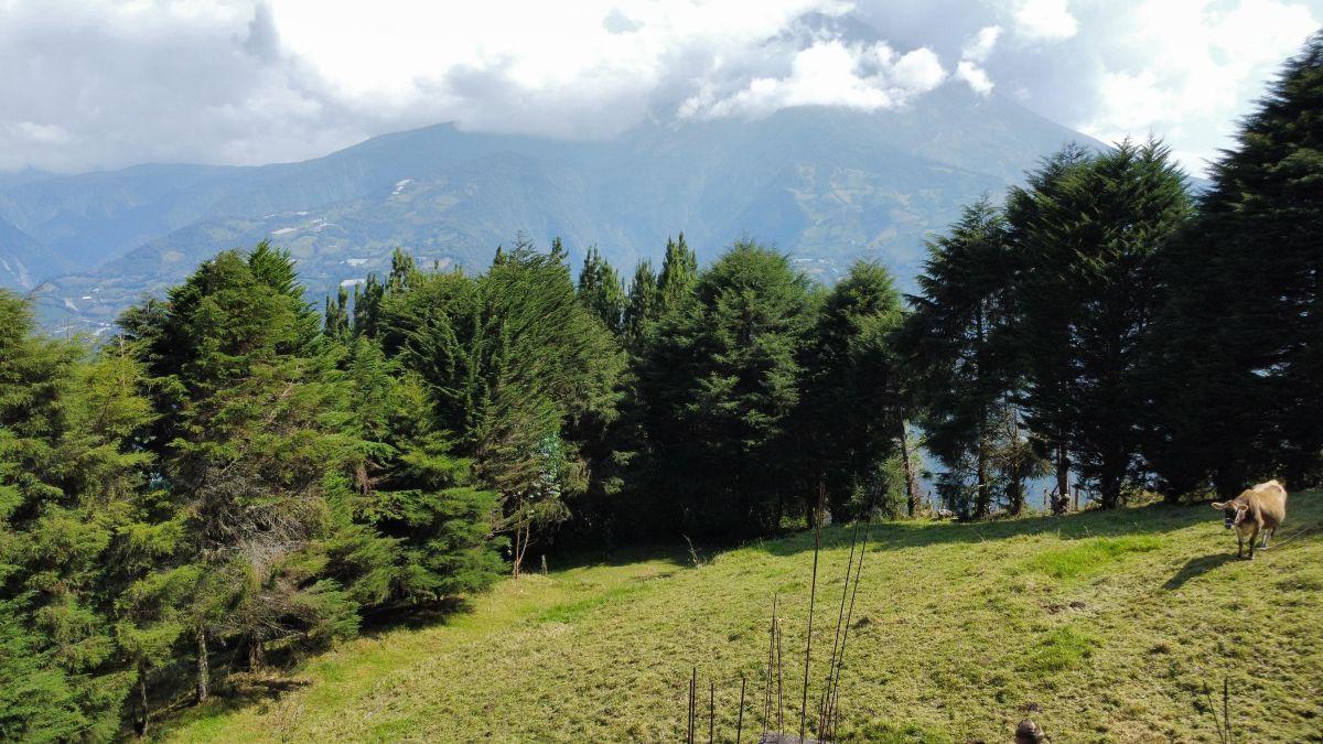 El Mirador Ridge — a Living View Estate Above Baños, Tungurahua — imagen 9