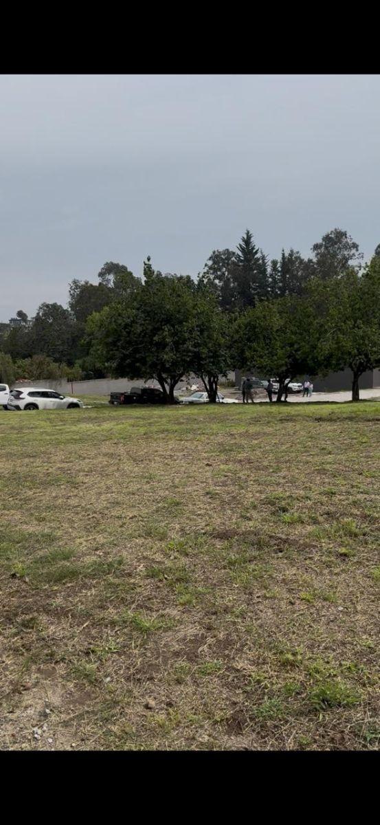 Terreno 600 m² en Urbanización en Puembo — imagen 6