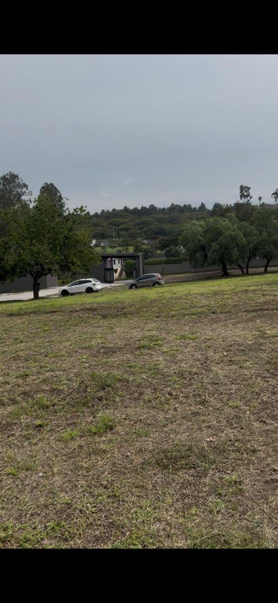 Terreno 600 m² en Urbanización en Puembo — imagen 4