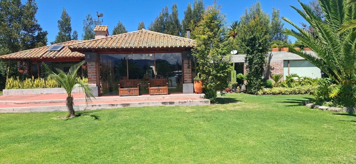 Terreno - Puembo — imagen 10