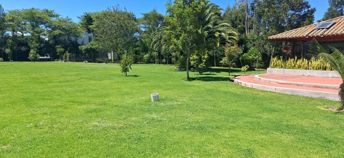 Terreno - Puembo — imagen 7