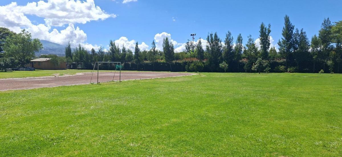 Terreno - Puembo — imagen 6