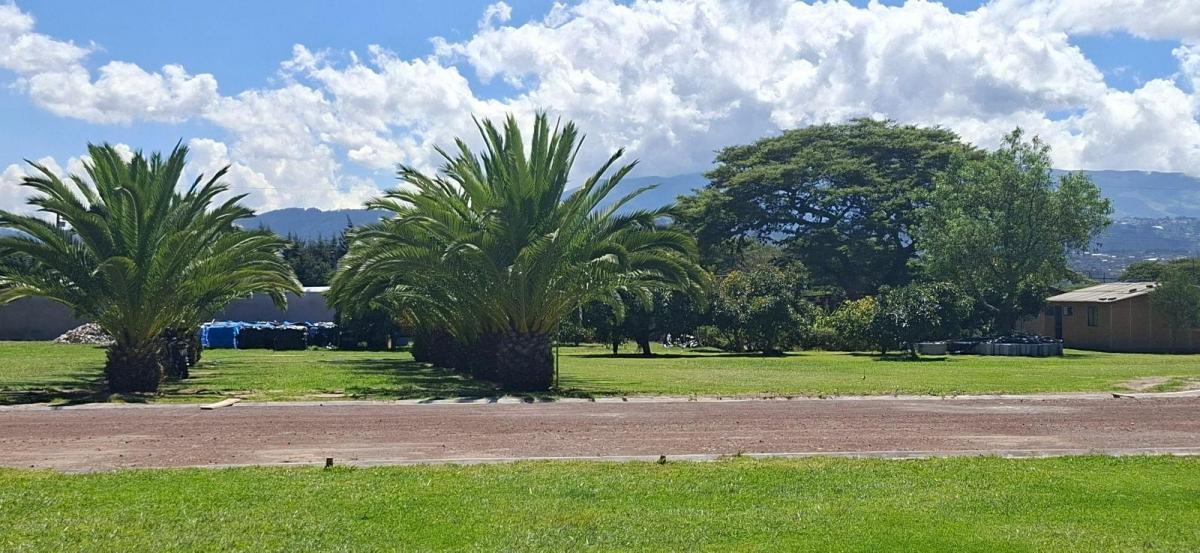 Terreno - Puembo — imagen 5