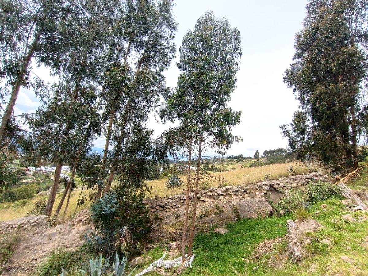 Se Vende Terreno de 5000 m², Excelente Potencial, Latacunga, Cotopaxi — imagen 10