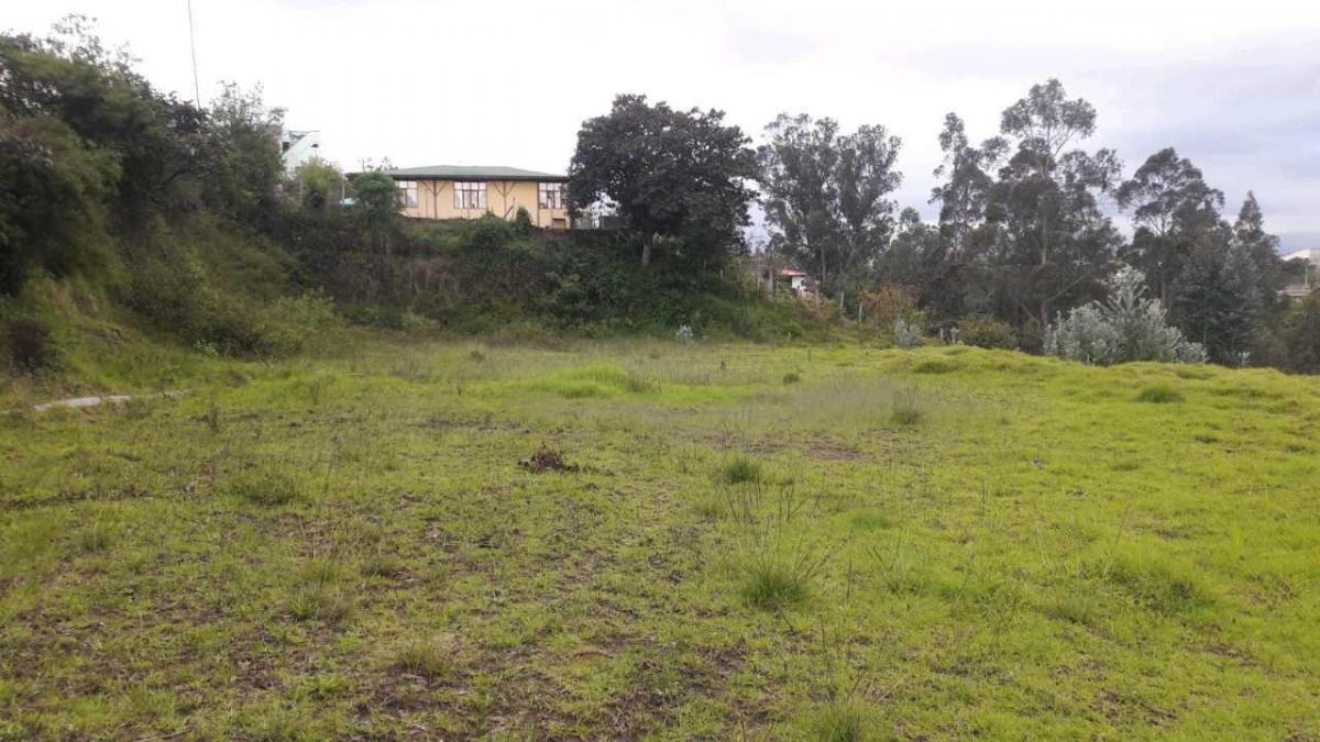Oportunidad Para Constructores, Terreno en Venta, Alangasí - Los Chillos — imagen 8