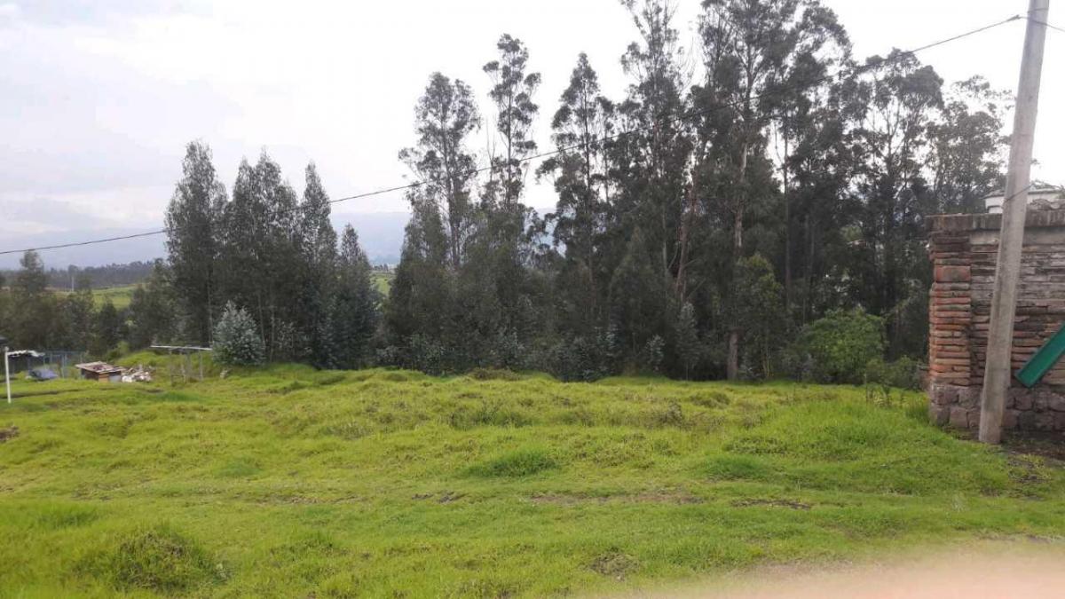 Oportunidad Para Constructores, Terreno en Venta, Alangasí - Los Chillos — imagen 7